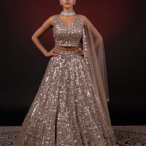 ANTIQUE SHADE LEHNGA