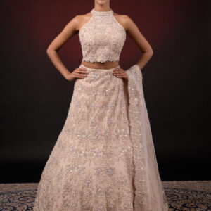 LIGHT PEACH EMBROIDERED LEHENGA